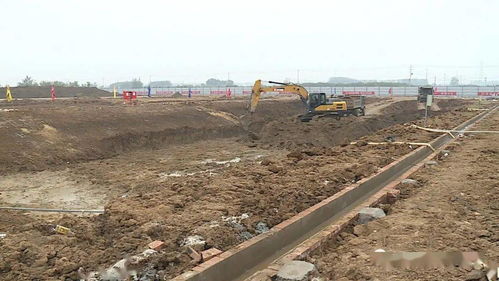 千人在岗筑通渠，邳州城乡供水一体化假日加速跑